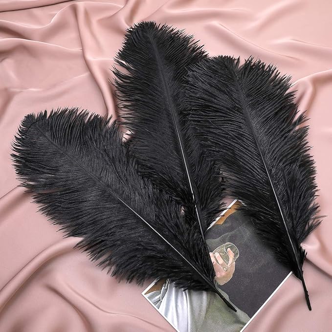 Ballinger Black Large Ostrich Feathers - Image 7