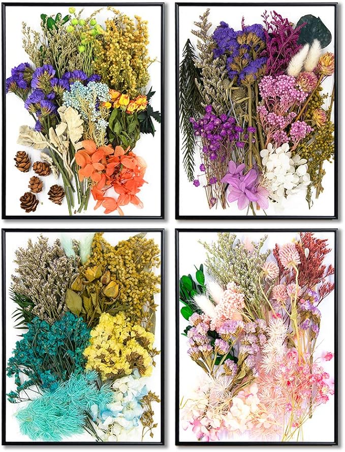 Vignee Real Dried Pressed Leaf Flowers-Multiple Colorful Pressed Flowers Daisies - Image 6
