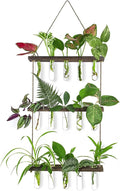 Ivolador Hanging Plant Propagation Tubes, 3 Tiered Wall Hanging Terrarium by IVOLADORI