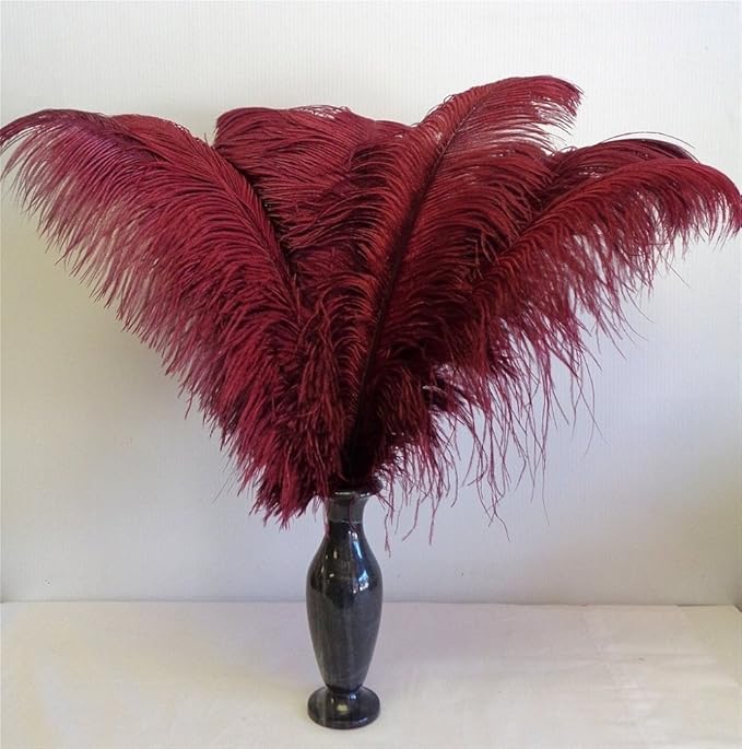 KOLIGHT 40pcs 12''~14'' Natural Ostrich Feathers - Image 4