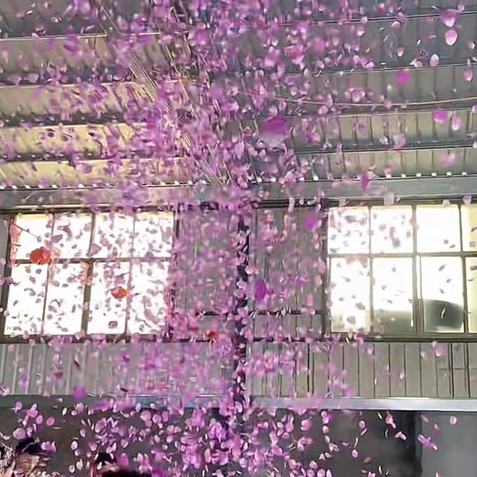 CODE FLORIST 2200 PCS Silk Rose Petals Wedding Flower Decoration - Image 6