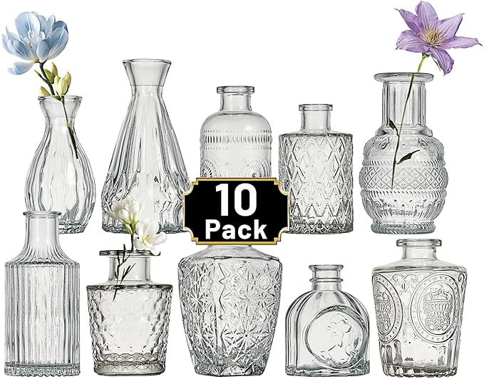 Glass Bud Vase Set of 10 Pcs Small Minimalist Vases by Tahnach