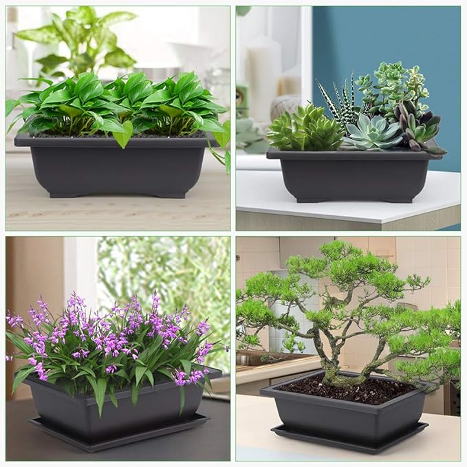 GROWNEER Bonsai Training Pots 3 Packs 9Inch - Image 6