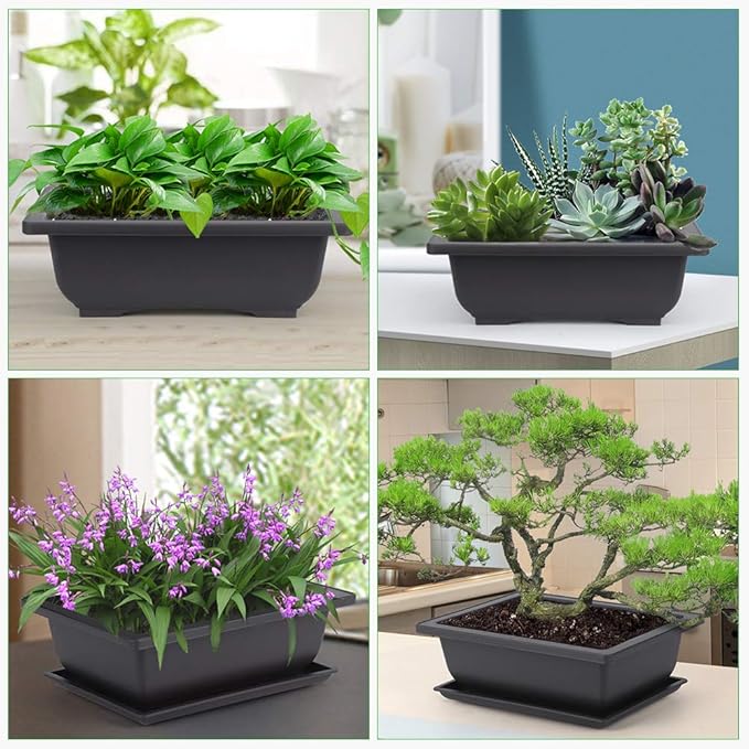 GROWNEER 6 Pack 9 Inch Bonsai Pots - Image 6