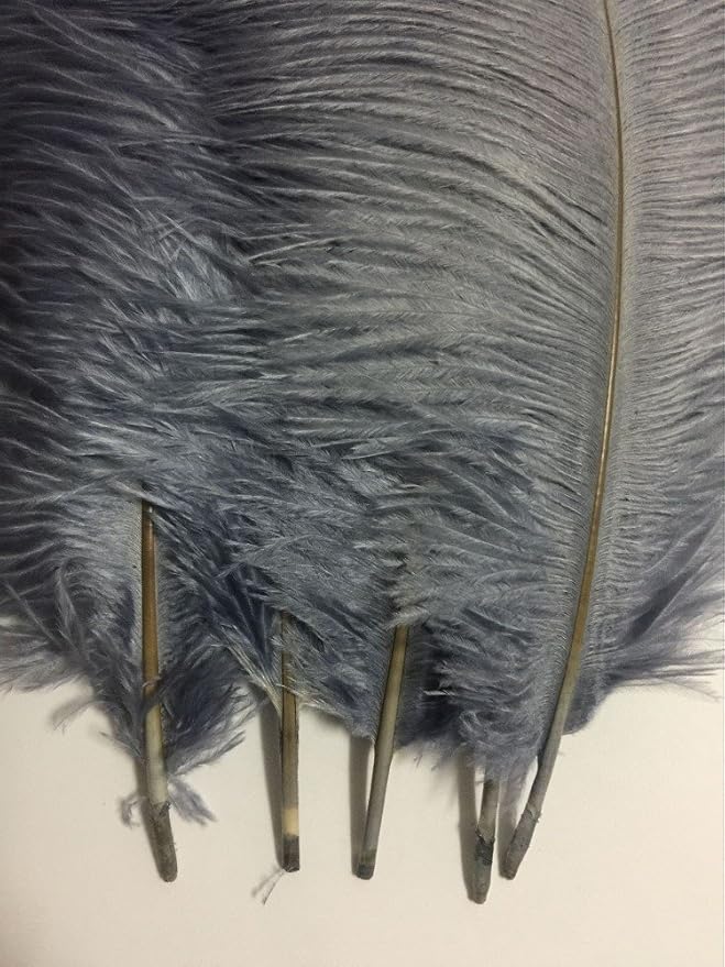 KOLIGHT® 40pcs 12''~14'' Natural Ostrich Feathers - Image 4