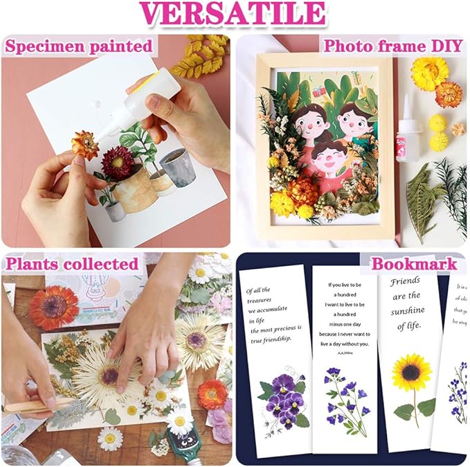 Vignee Real Dried Pressed Leaf Flowers-Multiple Colorful Pressed Flowers Daisies - Image 3