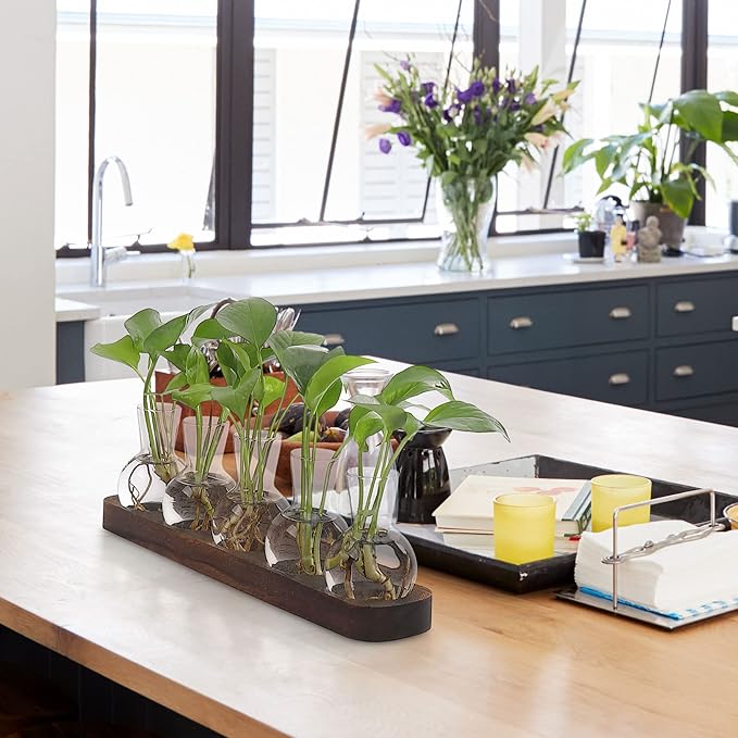 YIBOT Plant Propagation Stations, Glass Propagation Vases - Image 8