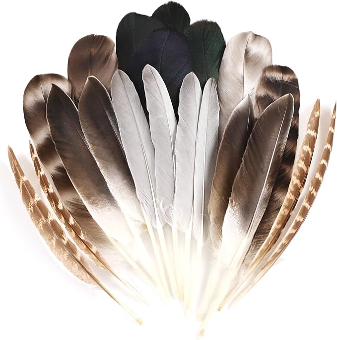MAOFENG 20pcs Natural Pheasant Feathers 5 Styles 5-9 inches 13-23cm by MAOFENGFEATHER