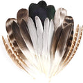 MAOFENG 20pcs Natural Pheasant Feathers 5 Styles 5-9 inches 13-23cm by MAOFENGFEATHER