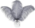 HAPPY FEATHER 16-18 inch Gray Ostrich Feathers Craft by SupplyHighQualityFeathers