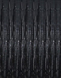 GOER 3.2 ft x 9.8 ft Metallic Tinsel Foil Fringe Curtains Party Photo Backdrop by GOER