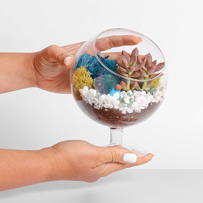 DIY Glass Plant Terrarium Kit for Adults, Metal Stand, Reindeer Moss, Tools & - Image 5