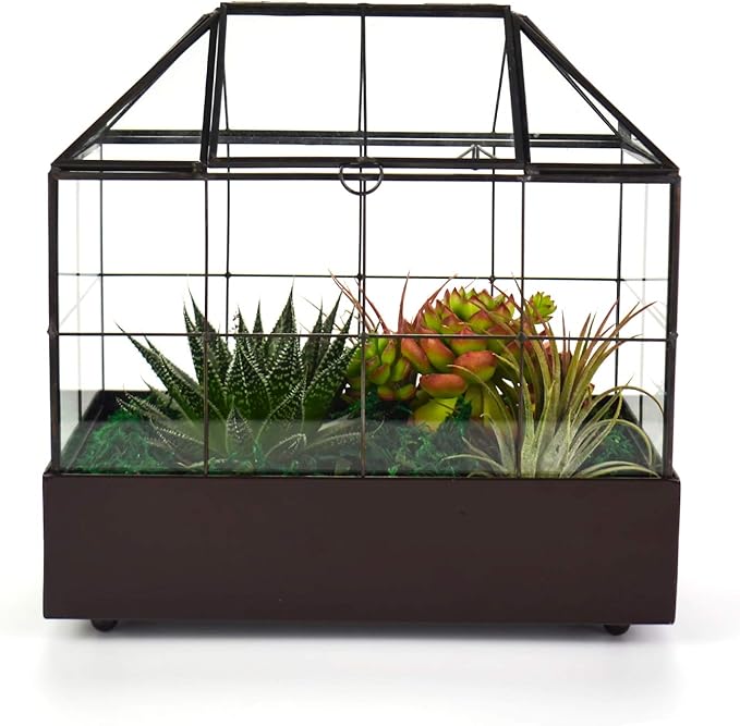 Large Tall Plant Terrarium Glass Greenhouse - Image 8
