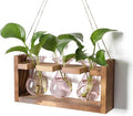 Plant Propagation Station Plant Terrarium Unique Birthday Gifts by Unknown
