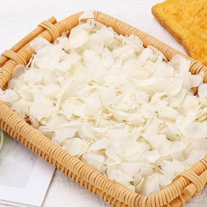 Dried Real Hydrangea Petals, Natural Preserved Dry Flower Petal by TAVKITE