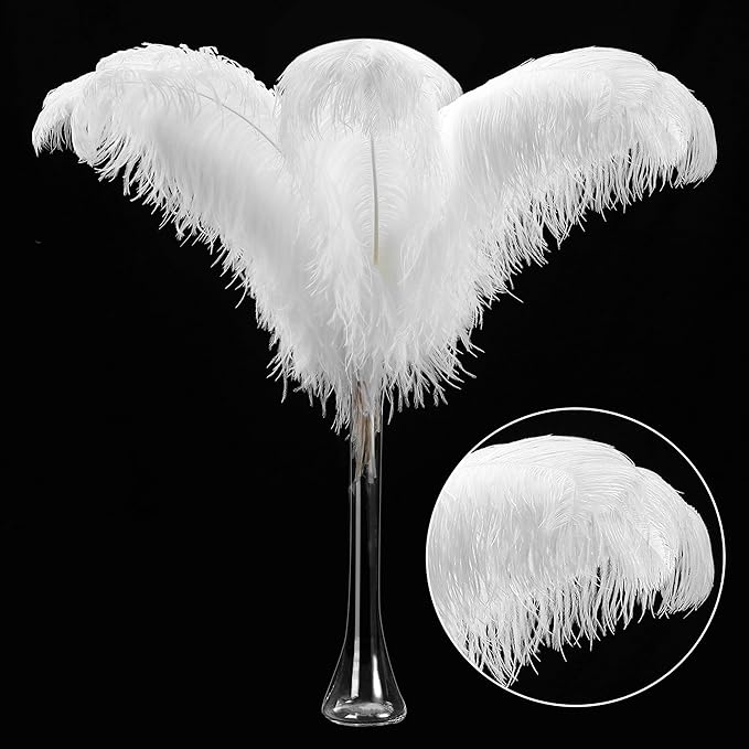 Larryhot White Large Ostrich Feathers by Larryhot