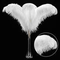 Larryhot White Large Ostrich Feathers by Larryhot