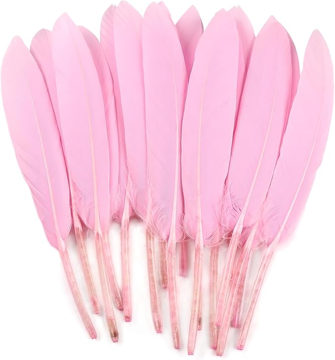 FeelfunFeather 120pcs Goose Cochettes Feather Natural Bulk 4-6 inch 10-15cm by FeelFunFeather