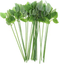 Veemoon 30pcs Floral Wire Stem by Veemoon