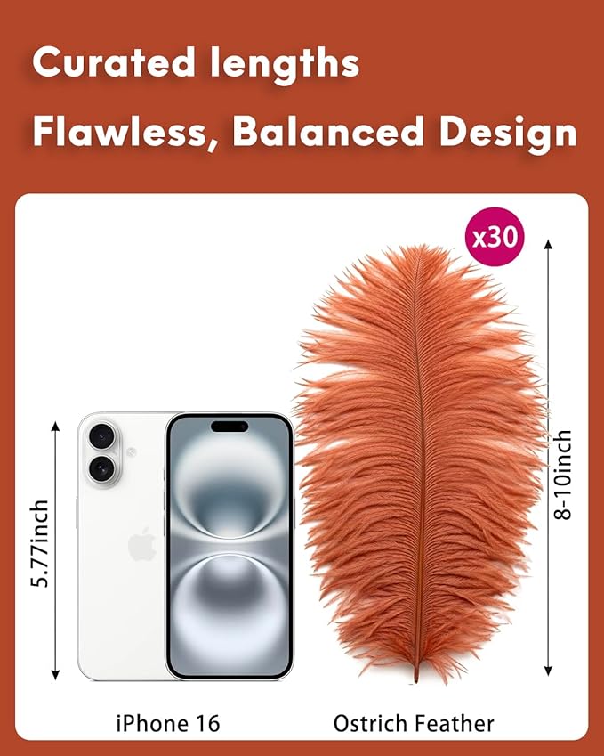 NEWONG 30pcs Brown Ostrich Feathers Natural Bulk 8-10in（20-25cm） Vase Craft - Image 2