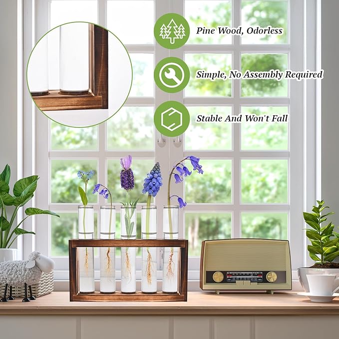 2pcs Desktop Glass Plant Propagation Station - Image 3
