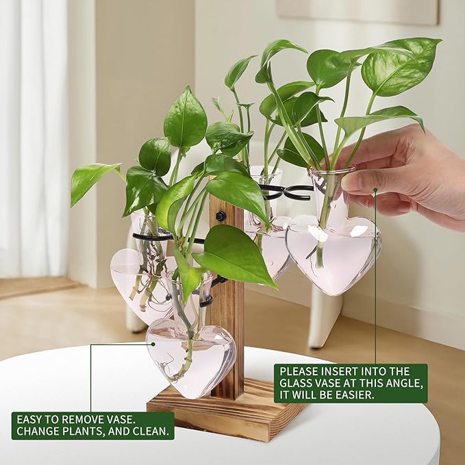 Plants Propagation Stations Plant Terrarium Kit Glass Planters - Image 3