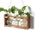 Plant Propagation Station Plant Terrarium Unique Birthday Gifts by Unknown
