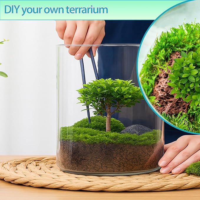Versatile Plant Propagation Station Vase Hydroponic Planter Pot, Glass Plant - Image 5