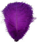 KOLIGHT 40pcs 12''~14'' Natural Ostrich Feathers by KOLIGHT