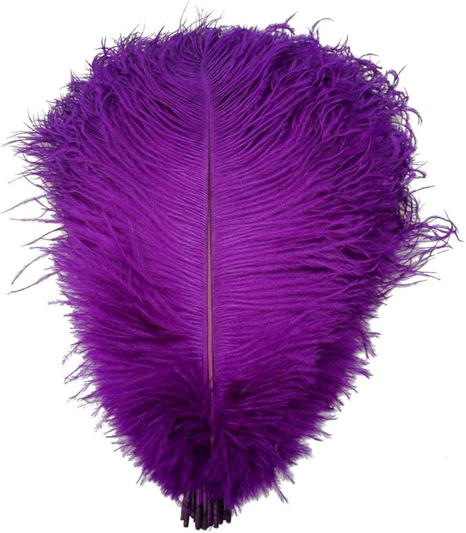 KOLIGHT 40pcs 12''~14'' Natural Ostrich Feathers by KOLIGHT