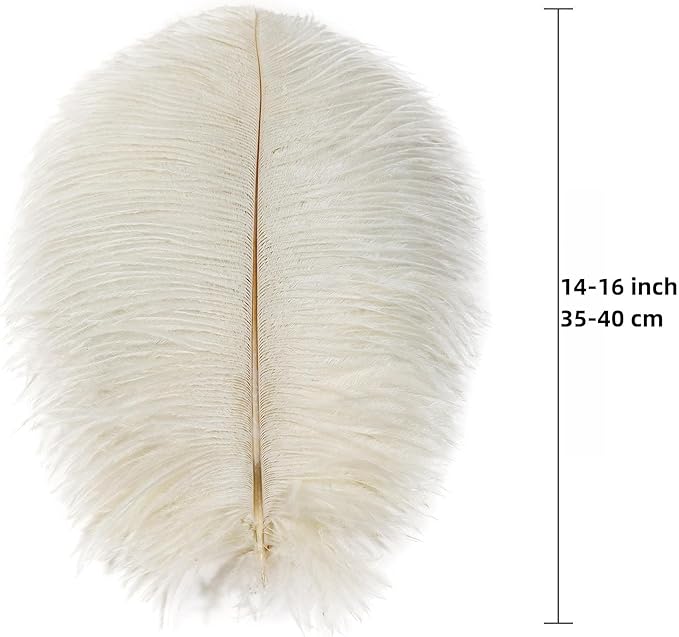 Ballinger Beige Big Ostrich Feathers - Image 3
