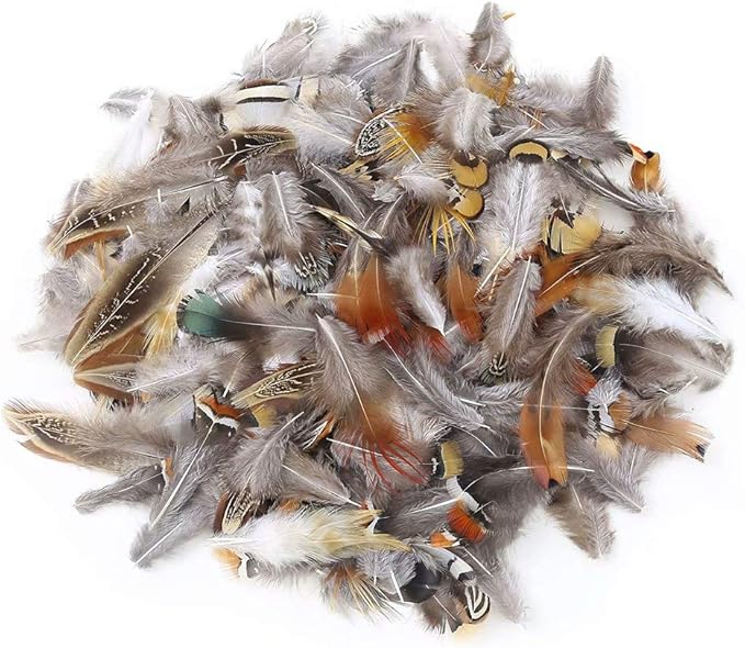 360pcs 12 Styled Natural Feathers Assorted Mixed Feathers - Image 3