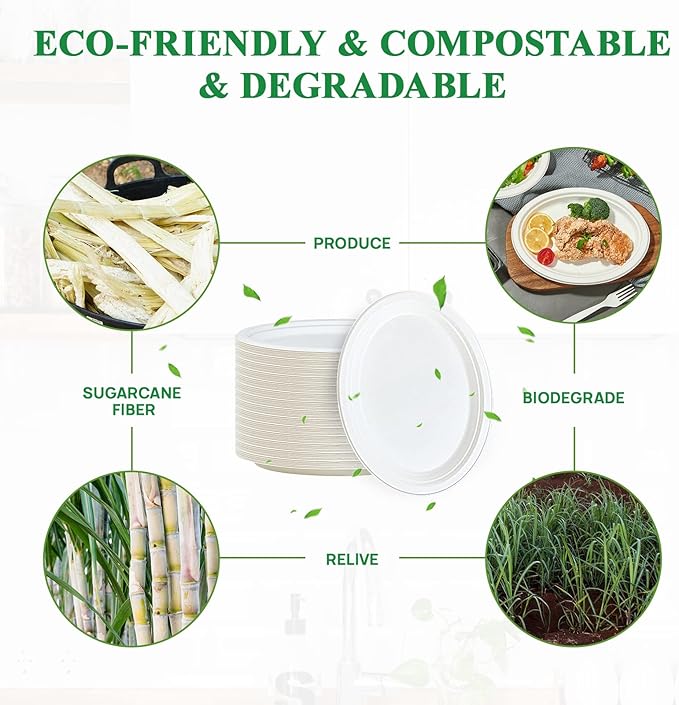 Vplus 300 Pack 100% Compostable Oval Paper Plates 12 inch Super Strong - Image 3