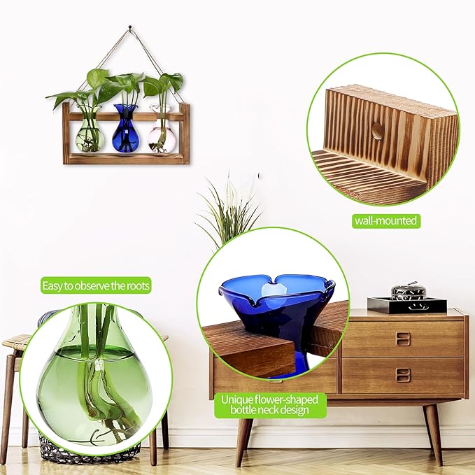 Plant Propagation Station Plant Terrarium Unique Birthday Gifts - Image 3