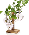 Plants Propagation Stations Plant Terrarium Kit Glass Planters by CYZglass