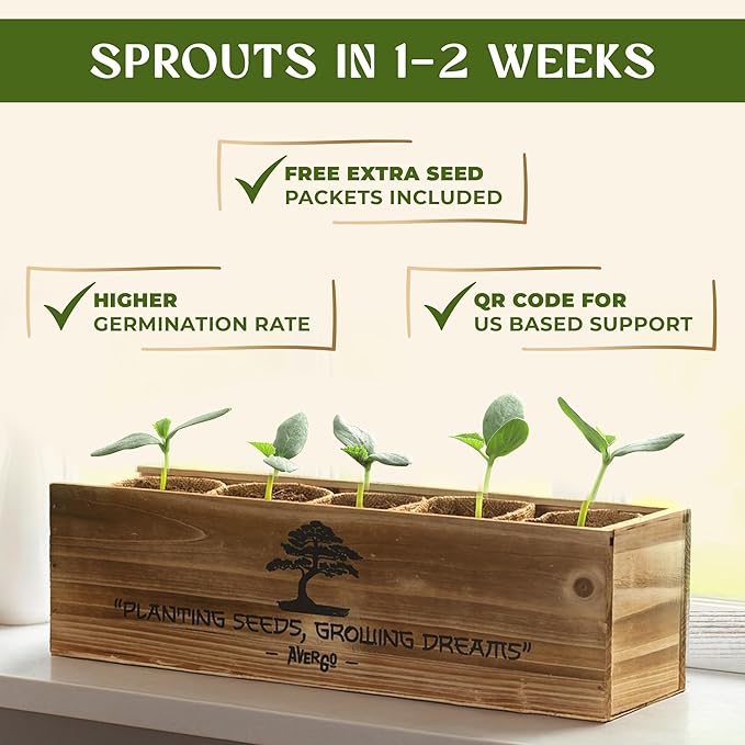 AVERGO Bonsai Tree Kit for Beginners – 5X Unique Japanese Bonzai Trees | - Image 4