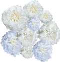 White Paper Flower Pom Poms Wall Decorations by BARTHEW