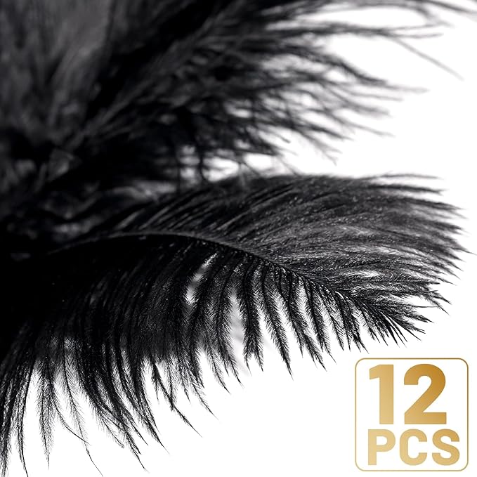 FANDAMEI Black Ostrich Feathers, 10-12 inch, Feathers - Image 5