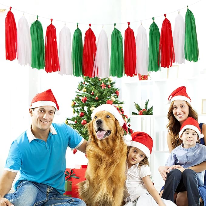 Red-Green White Christmas Party-Decorations - Image 5