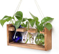 Plant Propagation Station Plant Terrarium Unique Birthday Gifts by Unknown
