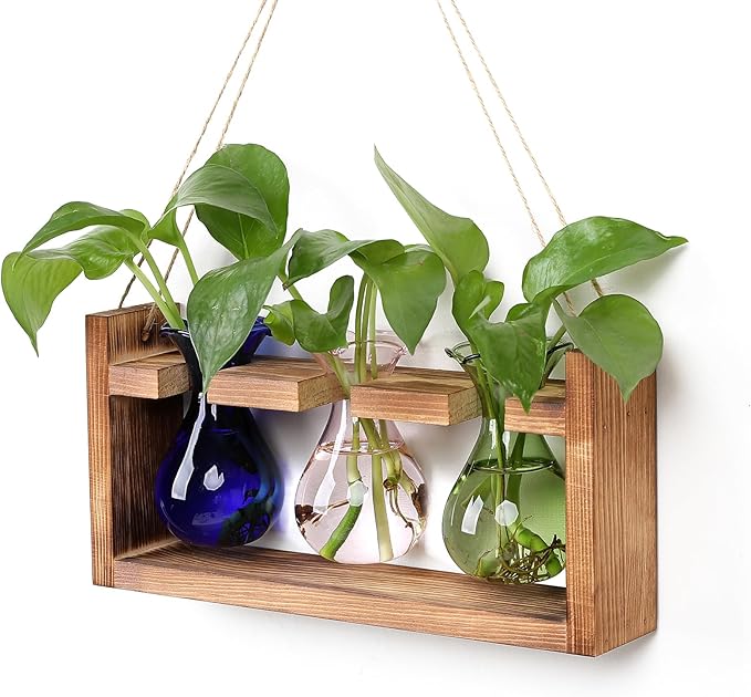 Plant Propagation Station Plant Terrarium Unique Birthday Gifts by Unknown