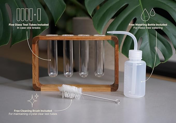 Source & Plot - Plant Propagation Station - Acacia Wood Stand 4 Glass Test Tube - Image 5