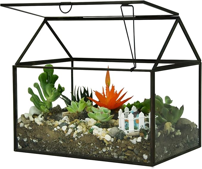 Black 1 Large Glass Plant Terrarium Kit - Image 4