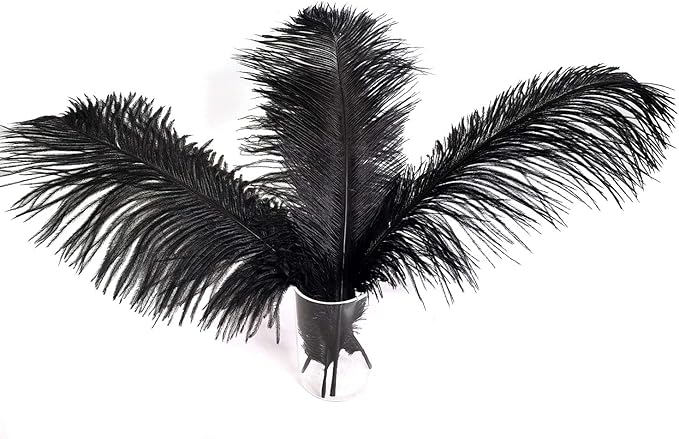 Happy Feather 16-18 inch Black Ostrich Feathers Craft - Image 4