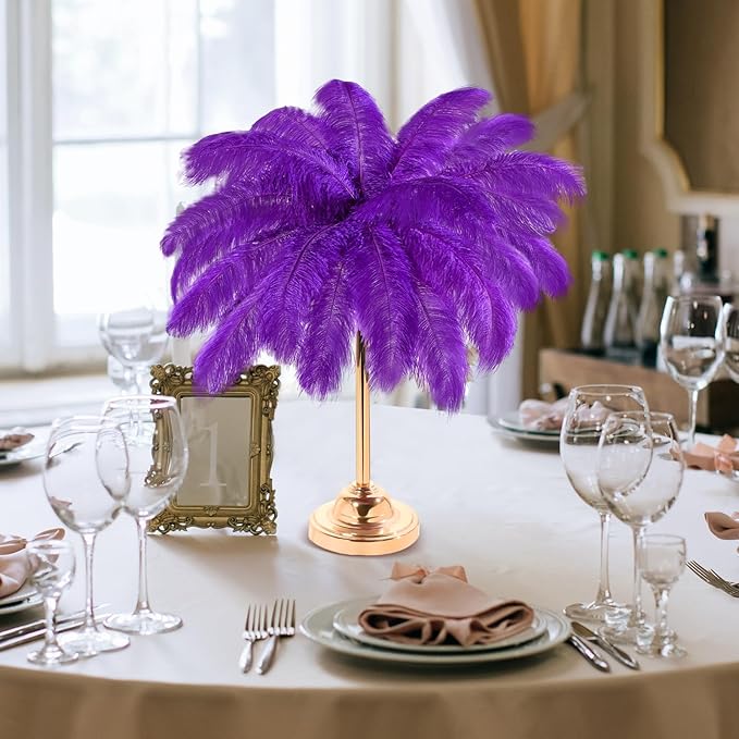 Retrowavy 30 Pcs 18-20 Inch Large Natural Ostrich Feathers Bulk - Image 6