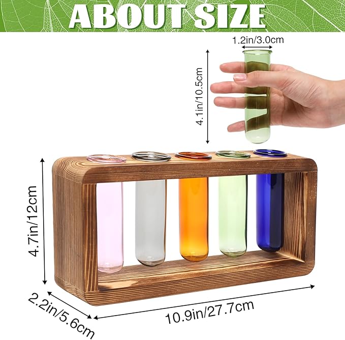 Glass Plant Propagation Station - Image 2