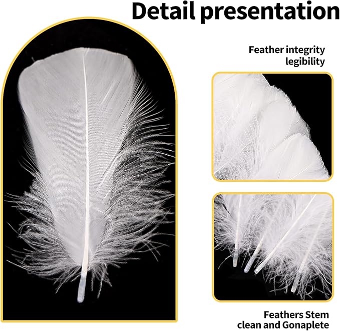 THARAHT 360pcs White Feathers 3-5 inch Craft Feathers Assorted Rainbow Colors - Image 3