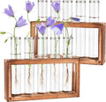 2pcs Desktop Glass Plant Propagation Station by Tigvio