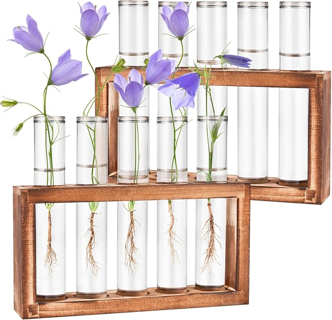 2pcs Desktop Glass Plant Propagation Station by Tigvio