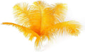 Ballinger Gold Large Ostrich Feathers by Ballinger